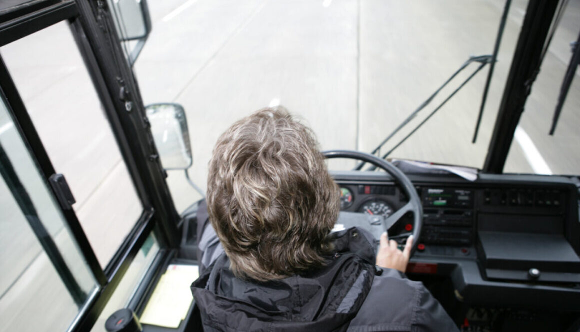 Bus Driver From Above